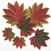 Herbstdekoration