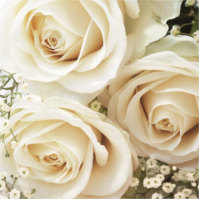 Hochzeitsservietten