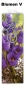 Preview: Geschenktaschen - Flasche - ca. 10 x 33 x 9 cm