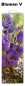Preview: Geschenktaschen - Flasche - ca. 10 x 33 x 9 cm