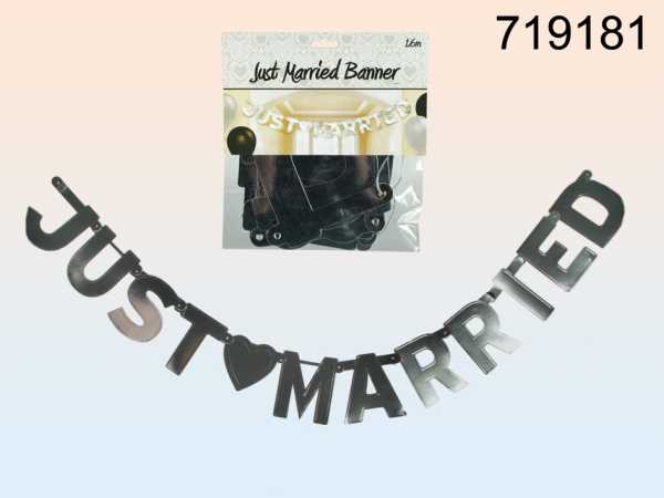 Girlande "Just Married" -silber -  Länge: ca1,60 m