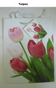 Geschenketasche mit Frühlingsmotiv - mittel - ca. 17,5 x 22,5 x 10 cm