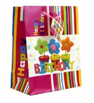 Geschenketasche Happy Birthday - 18 x 23 x 10 cm - verschiedene Motive