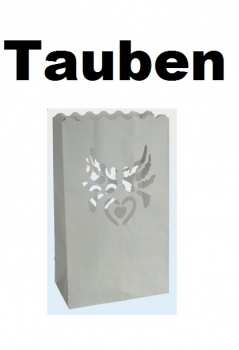 Feuersichere Papier-Laternen - Hochzeit - 2 Stück