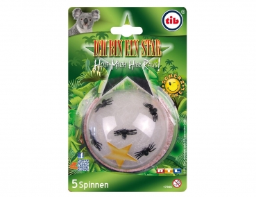 5 kleine Spinnen mit Spinnenetz