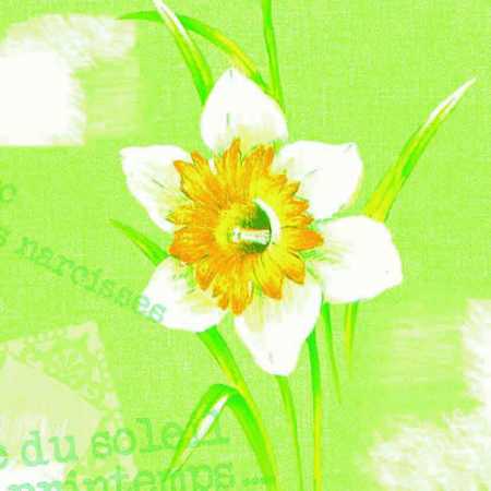 Servietten "Spring day" - 3-lagig - 1/4-falz - 50 Stück - Abmessungen: 24 x 24 cm oder 33 x 33 cm