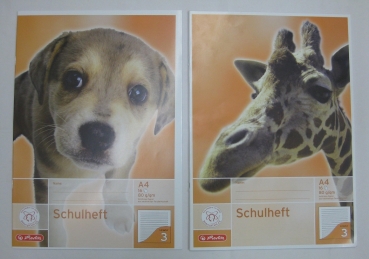 Schulheft - DIN A4 - Lineatur 3 - 16 Blatt - 10 Stück