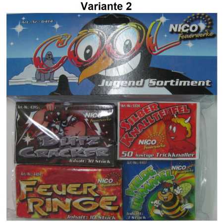 Preview: Jugendfeuerkwerkssortiment "Cool"