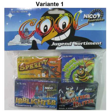 Preview: Jugendfeuerwerkssortiment "Cool"