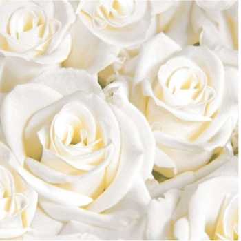 Dunilin-Serviette "White Dreams" - 40 x 40 cm - 50 Stück/Paket