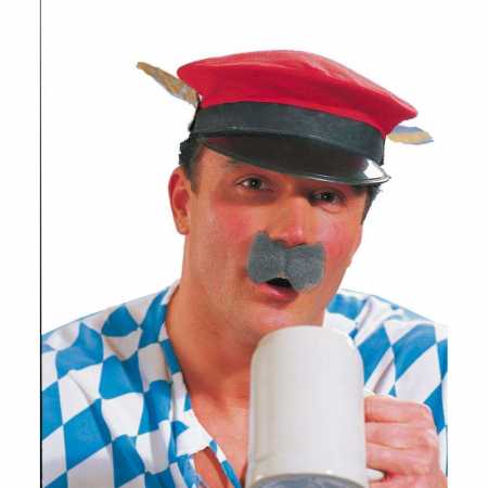 Schnurrbart "Alfonsius" grau