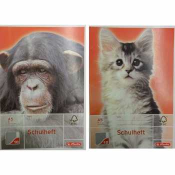 Schulheft - DIN A5 - Lineatur 10 - 16 Blatt