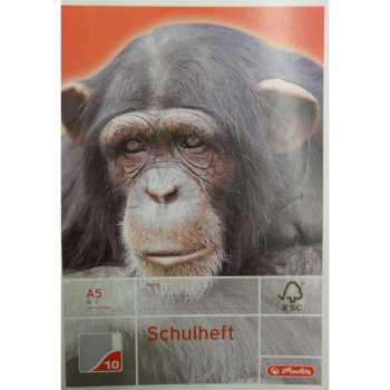 Schulheft - DIN A5 - Lineatur 10 - 16 Blatt
