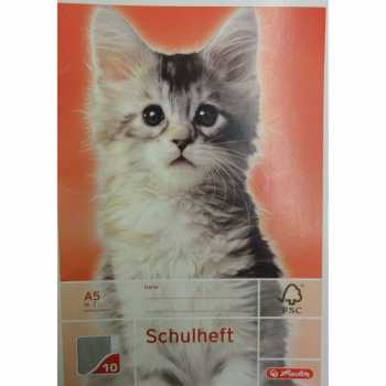 Schulheft - DIN A5 - Lineatur 10 - 16 Blatt