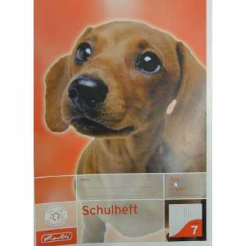 Schulheft - DIN A4 - Lineatur 7 - 16 Blatt