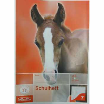 Schulheft - DIN A4 - Lineatur 7 - 16 Blatt