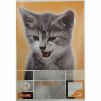 Schulheft - DIN A5 - Lineatur 3 - 16 Blatt