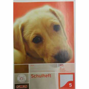 Schulheft - DIN A5 - Lineatur 5 - 16 Blatt