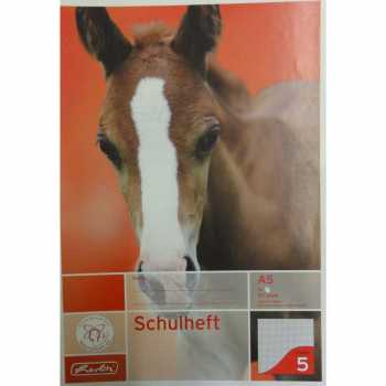 Schulheft - DIN A5 - Lineatur 5 - 16 Blatt