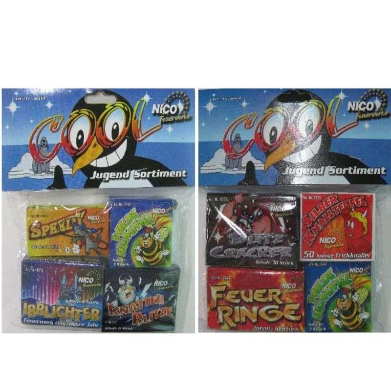 Jugendfeuerwerkssortiment "Cool"