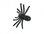 Spinne 11 cm