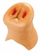 Schweinenase