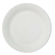 Pappteller - weiß - Durchmesser: 18 cm  - 100