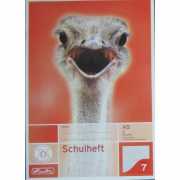 Schulheft - DIN A5 - Lineatur 7 - 16 Blatt